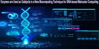 Enzymes are Used as Catalysts in a New Biocomputing Technique for DNA-based Molecular Computing