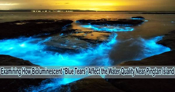 Examining How Bioluminescent “Blue Tears” Affect the Water Quality Near Pingtan Island