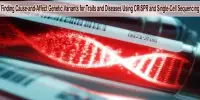Finding Cause-and-Affect Genetic Variants for Traits and Diseases Using CRISPR and Single-Cell Sequencing