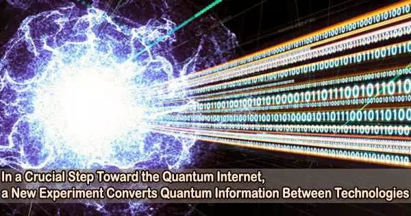 In a Crucial Step Toward the Quantum Internet, a New Experiment Converts Quantum Information Between Technologies