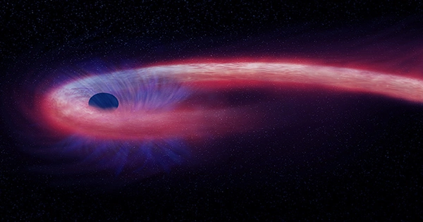In this Image From NASA’s Chandra, a Galaxy With a Black Hole Shines