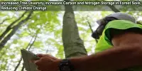 Increased Tree Diversity Increases Carbon and Nitrogen Storage in Forest Soils, Reducing Climate Change