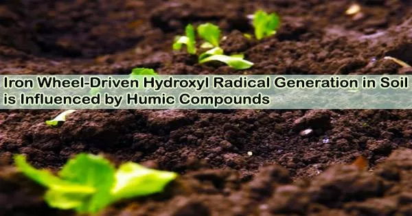 Iron Wheel-Driven Hydroxyl Radical Generation in Soil is Influenced by Humic Compounds
