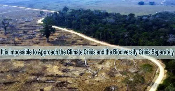 It is Impossible to Approach the Climate Crisis and the Biodiversity Crisis Separately