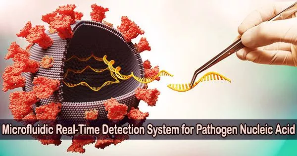 Microfluidic Real-Time Detection System for Pathogen Nucleic Acid