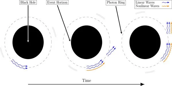 Physicists create new model of ringing black holes
