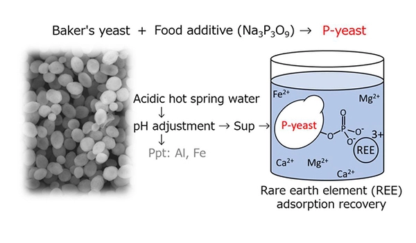 Recovering rare earth elements in environmental water
