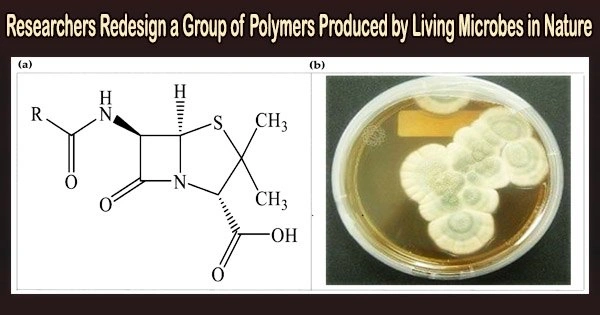 Researchers Redesign a Group of Polymers Produced by Living Microbes in Nature
