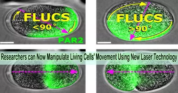 Researchers can Now Manipulate Living Cells’ Movement Using New Laser Technology