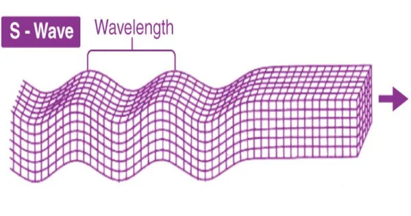 S Waves – In Seismology