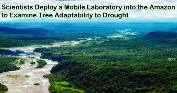 Scientists Deploy a Mobile Laboratory into the Amazon to Examine Tree Adaptability to Drought