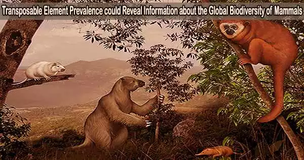 Transposable Element Prevalence could Reveal Information about the Global Biodiversity of Mammals