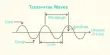 Transverse Wave – in Physics