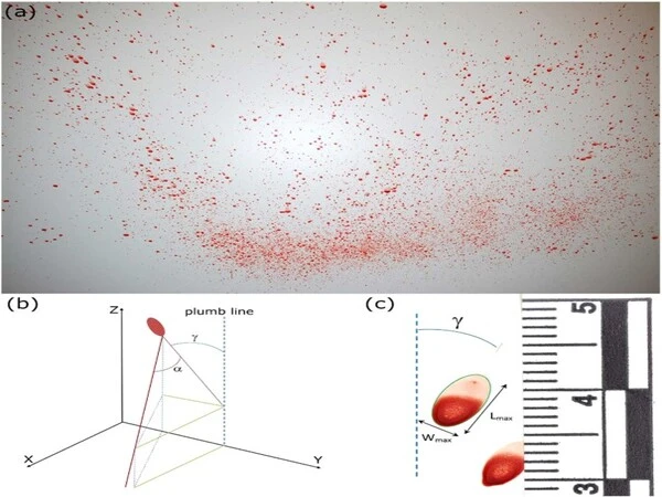 Improving bloodstain pattern analysis with fluid dynamics
