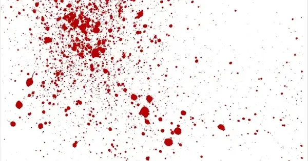 Using Fluid Dynamics to improve Bloodstain Pattern Analysis