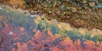 Using Microbes to Extract more from Mining Waste