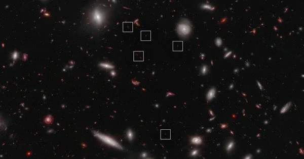 Webb Reveals an Early-universe Prequel to a Massive Galaxy Cluster