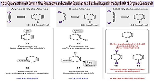 1,2,3-Cyclohexatriene is Given a New Perspective and could be Exploited as a Flexible Reagent in the Synthesis of Organic Compounds