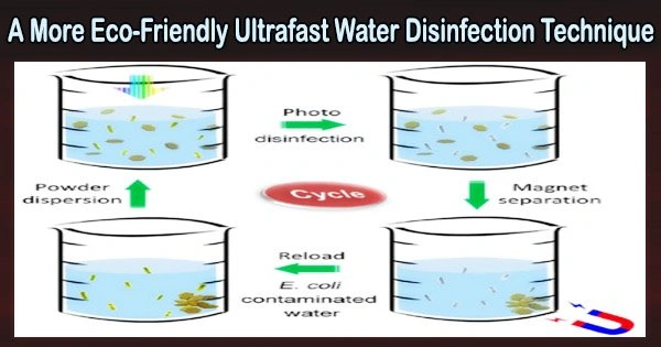 A More Eco-Friendly Ultrafast Water Disinfection Technique