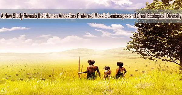 A New Study Reveals that Human Ancestors Preferred Mosaic Landscapes and Great Ecological Diversity