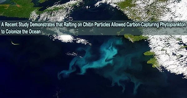 A Recent Study Demonstrates that Rafting on Chitin Particles Allowed Carbon-Capturing Phytoplankton to Colonize the Ocean
