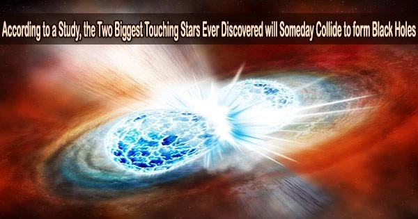 According to a Study, the Two Biggest Touching Stars Ever Discovered will Someday Collide to form Black Holes