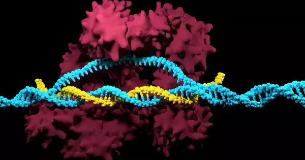 An Overview of the Genome