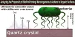 Analyzing the Propensity of Biofilm-Forming Microorganisms to Adhere to Organic Surfaces