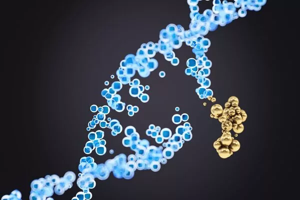 DNA damage repaired by antioxidant enzymes