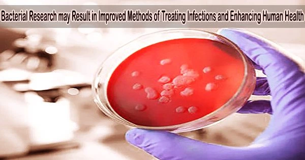 Bacterial Research may Result in Improved Methods of Treating Infections and Enhancing Human Health