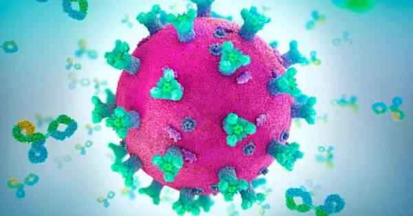 Deadly Virus Structures Point to New Vaccine Design Directions