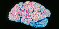 Deep Sleep may help to prevent Alzheimer’s Memory Loss