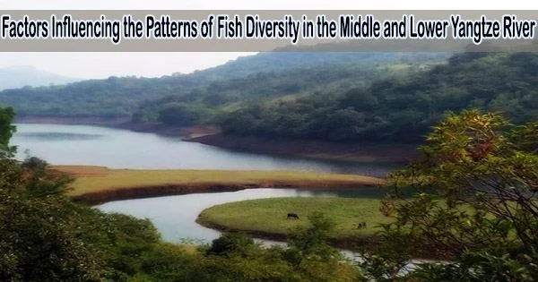 Factors Influencing the Patterns of Fish Diversity in the Middle and Lower Yangtze River