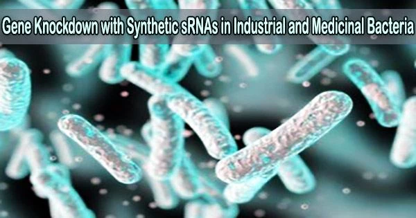 Gene Knockdown with Synthetic sRNAs in Industrial and Medicinal Bacteria
