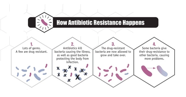 How Bacteria Develop Antibiotic Resistance