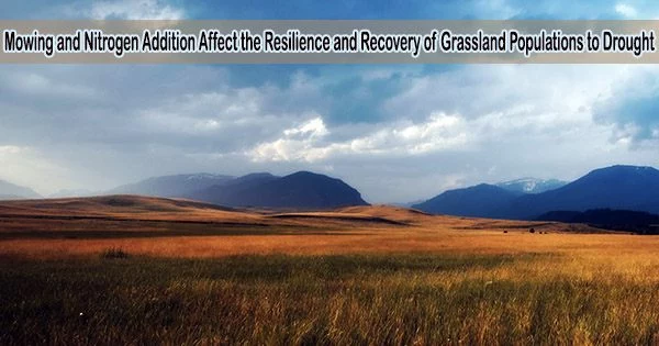 Mowing and Nitrogen Addition Affect the Resilience and Recovery of Grassland Populations to Drought