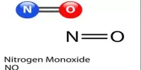 Nitrogen Monoxide – a colorless gas