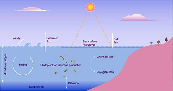 Ocean Plankton Bacteria Could Become Carbon Emitters as a Result of Climate Change