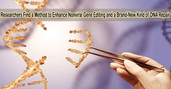 Researchers Find a Method to Enhance Nonviral Gene Editing and a Brand-New Kind of DNA Repair