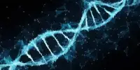 Researchers have discovered a Mechanism for DNA Repair