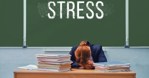 Teachers who Struggle with Stress are far less Satisfied with their Jobs