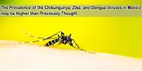 The Prevalence of the Chikungunya, Zika, and Dengue Viruses in Mexico may be Higher than Previously Thought