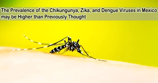 The Prevalence of the Chikungunya, Zika, and Dengue Viruses in Mexico may be Higher than Previously Thought