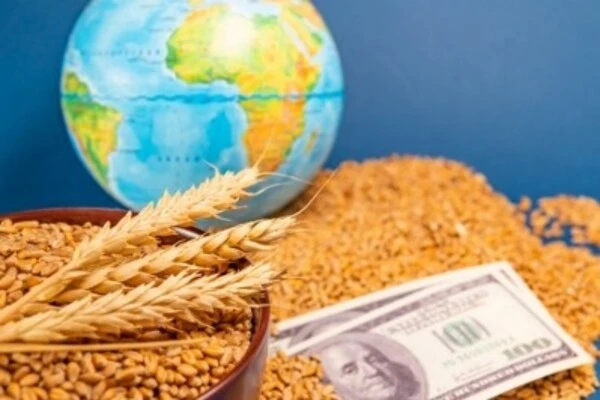 Indirect effects of the Russia-Ukraine conflict revealed: global food supply at risk