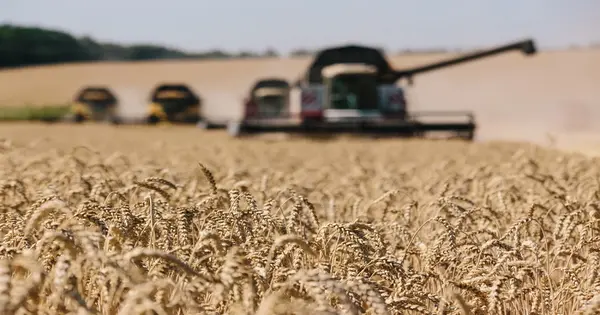 The World’s Food Supply is at Risk as a Result of the Russia-Ukraine Conflict