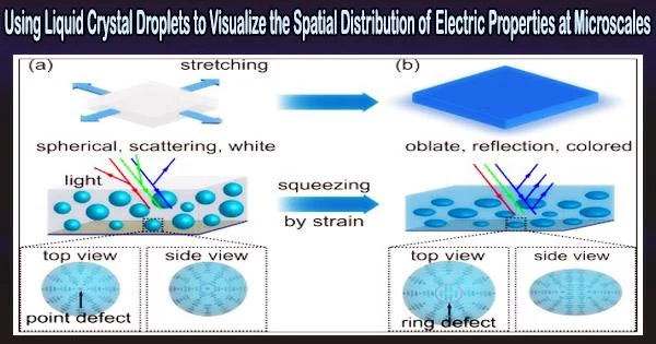 Using Liquid Crystal Droplets to Visualize the Spatial Distribution of Electric Properties at Microscales