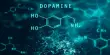 Vitamin D affects developing Neurons in the Dopamine Circuit of the Brain