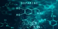 Vitamin D affects developing Neurons in the Dopamine Circuit of the Brain