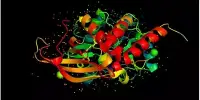 A Newly Discovered Protein Controls the Formation of Cellulose in Plant Cells