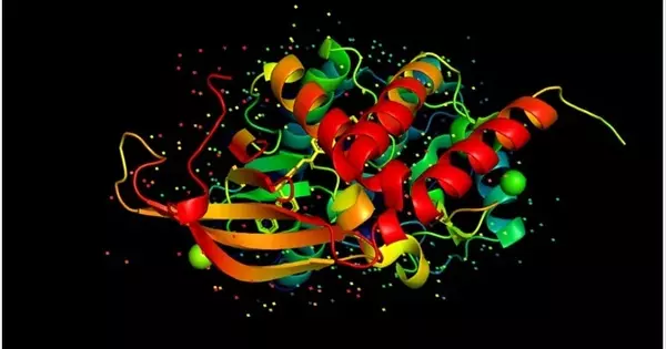 A Newly Discovered Protein Controls the Formation of Cellulose in Plant Cells